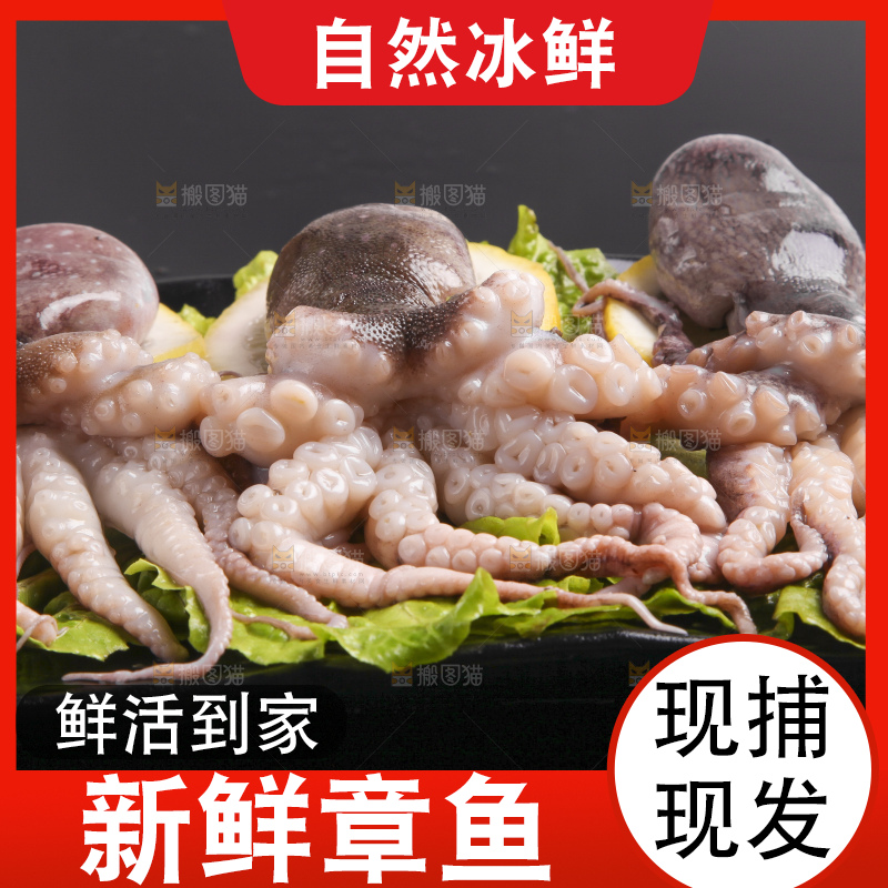 黑底上的八爪鱼