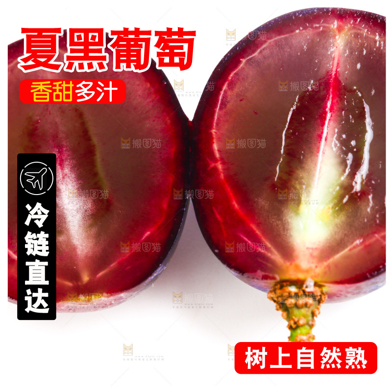 云南夏黑葡萄放在白底上