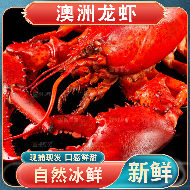 黑底上放着波士顿龙虾