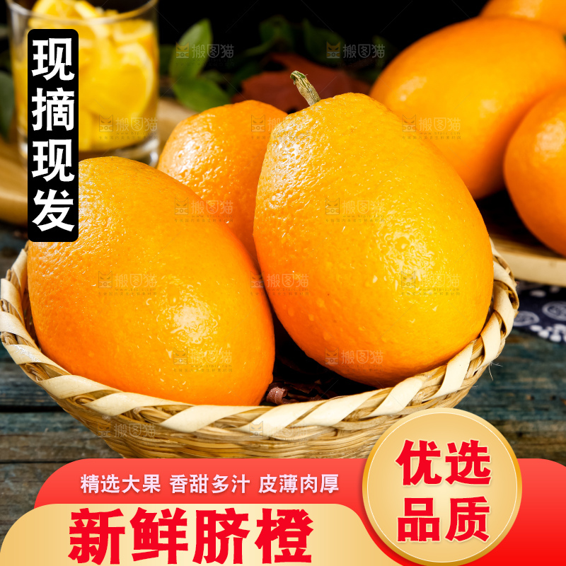 篮子里装着长虹脐橙
