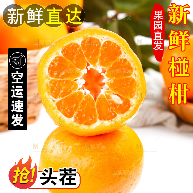 白底上的永春芦柑