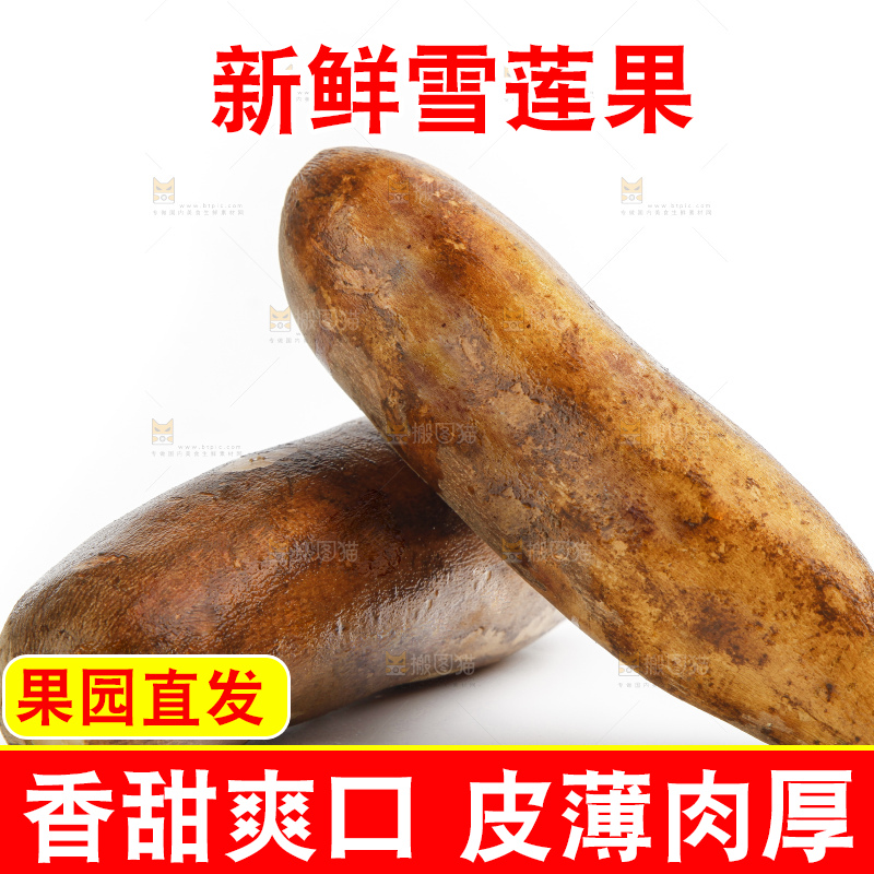 白底上放着雪莲果