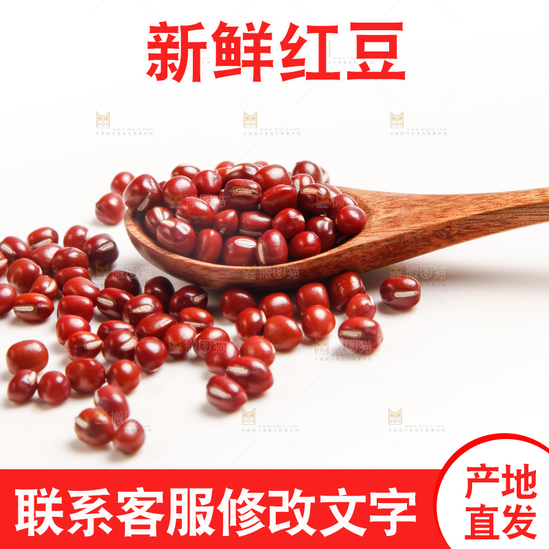 勺子里装着东北红豆