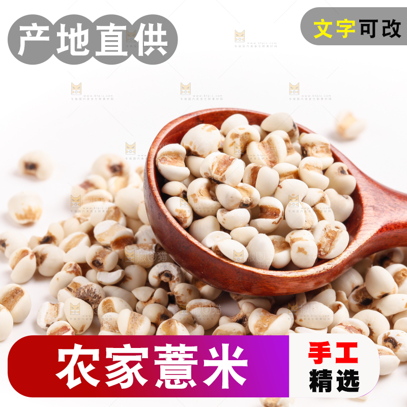 勺子里装着薏米