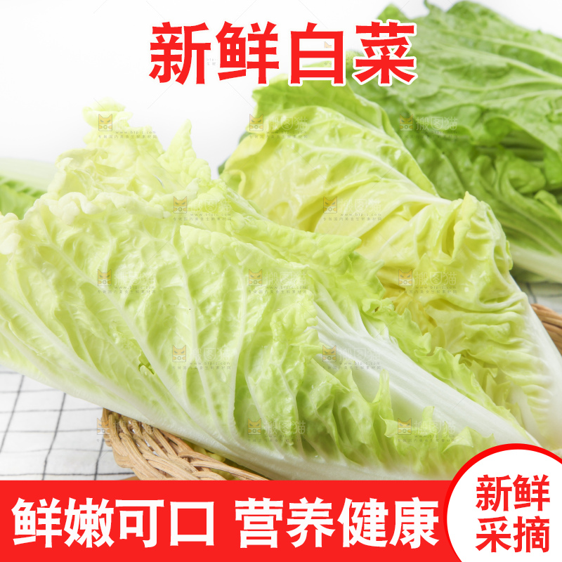 篮子里装着农家白菜
