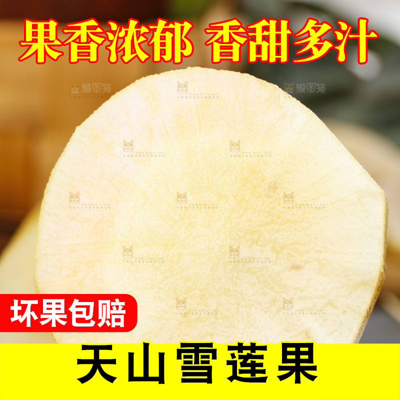 手里拿着新鲜雪莲