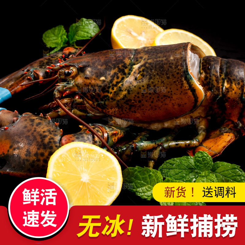 深底上放着澳洲龙虾