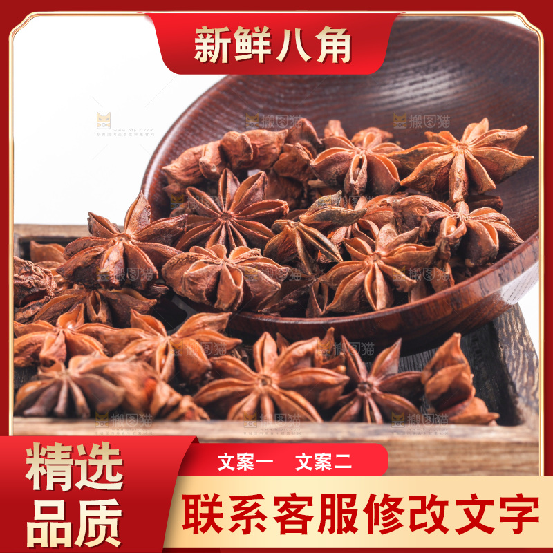 广西八角放在白底上