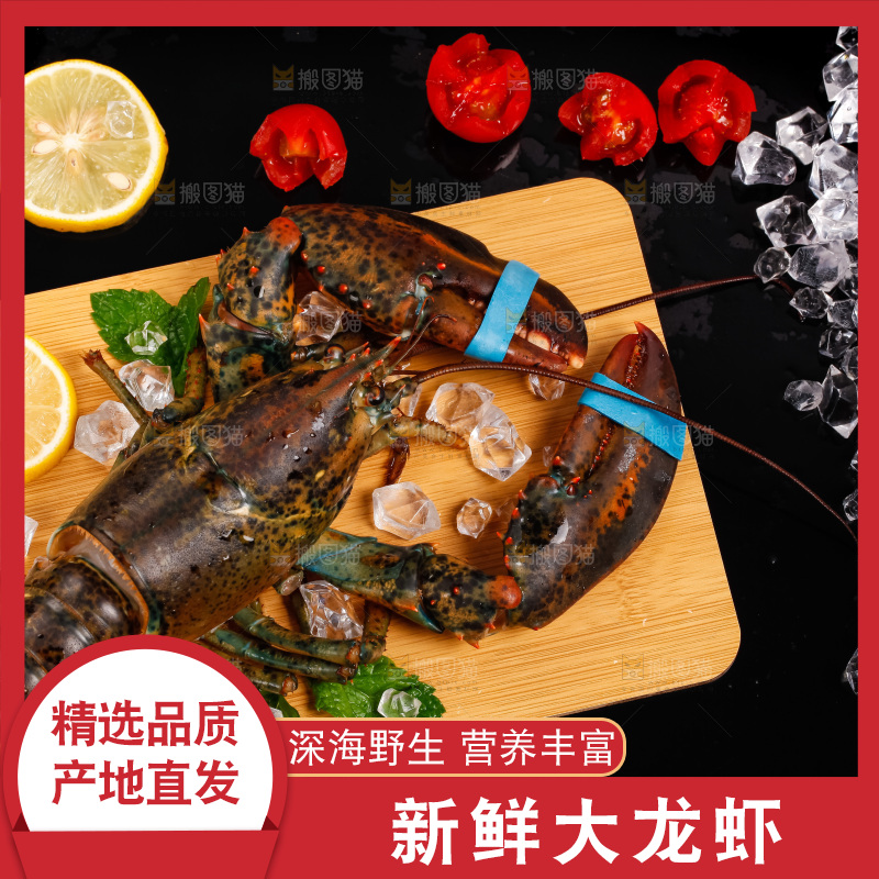 黑底上的波士顿龙虾