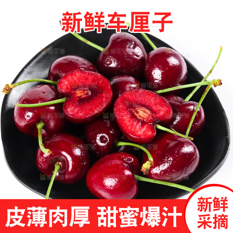 白底上的新鲜车厘子