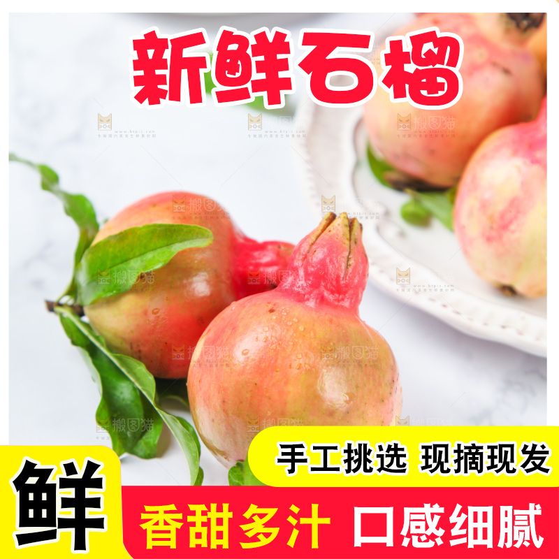 浅底上的石榴