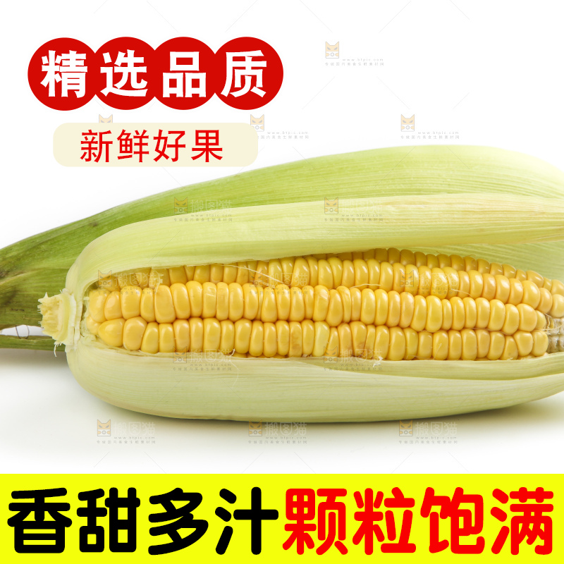 白底上放着黄玉米