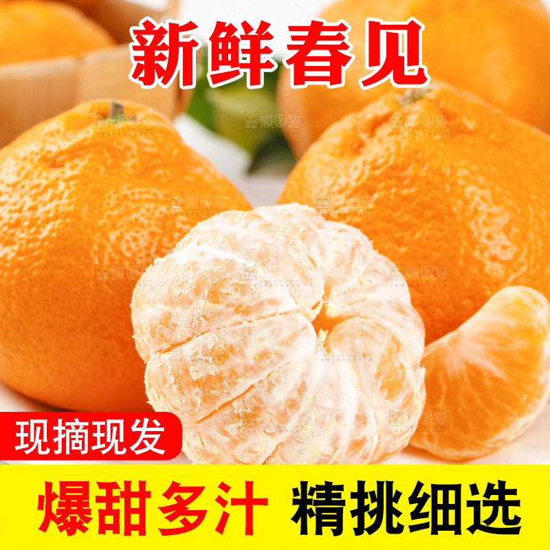 盘子里装着春见柑桔