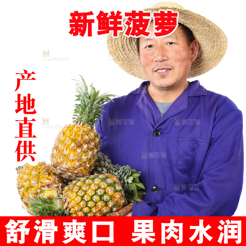 农民手里拿着香水菠萝