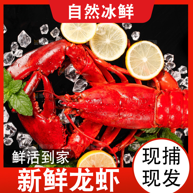 黑底上放着波士顿大龙虾