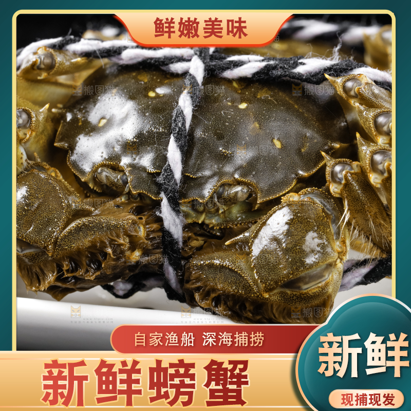 黑底上的鲜活螃蟹