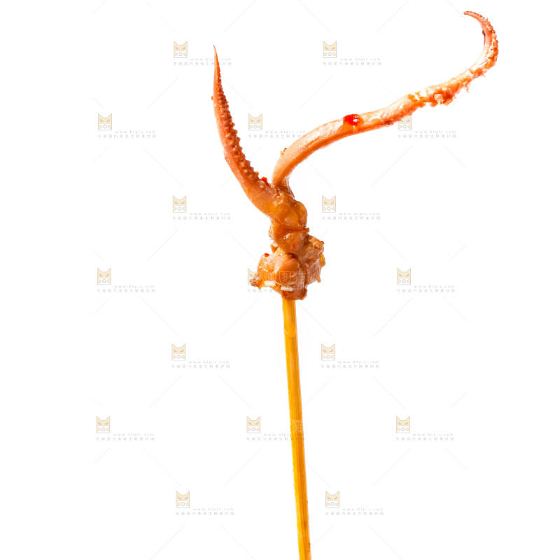 白底上鱿鱼须串
