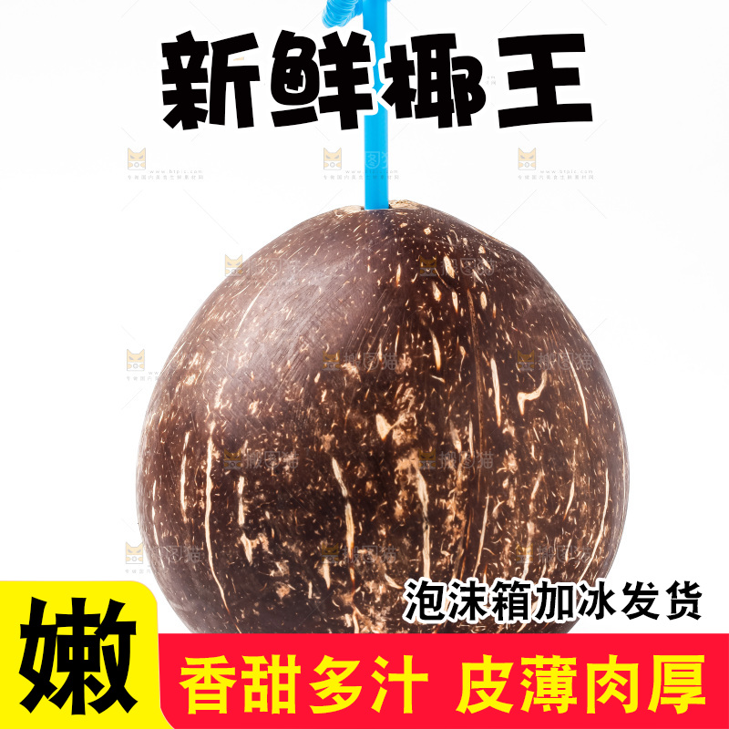 白底上放着椰王