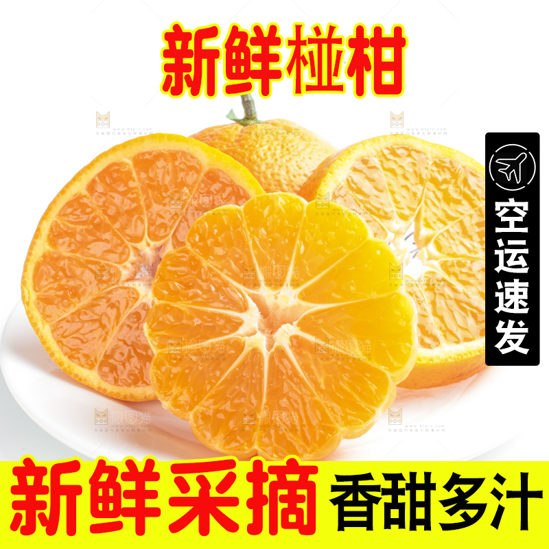 盘子里的四川椪柑