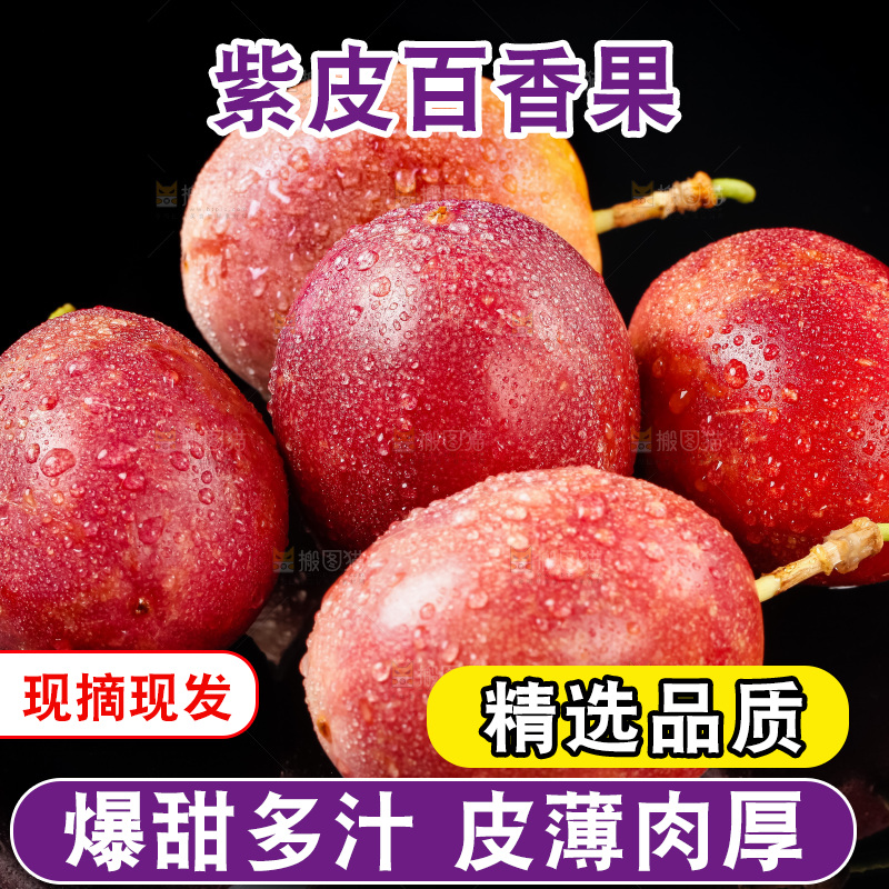 紫皮百香果放在黑底上