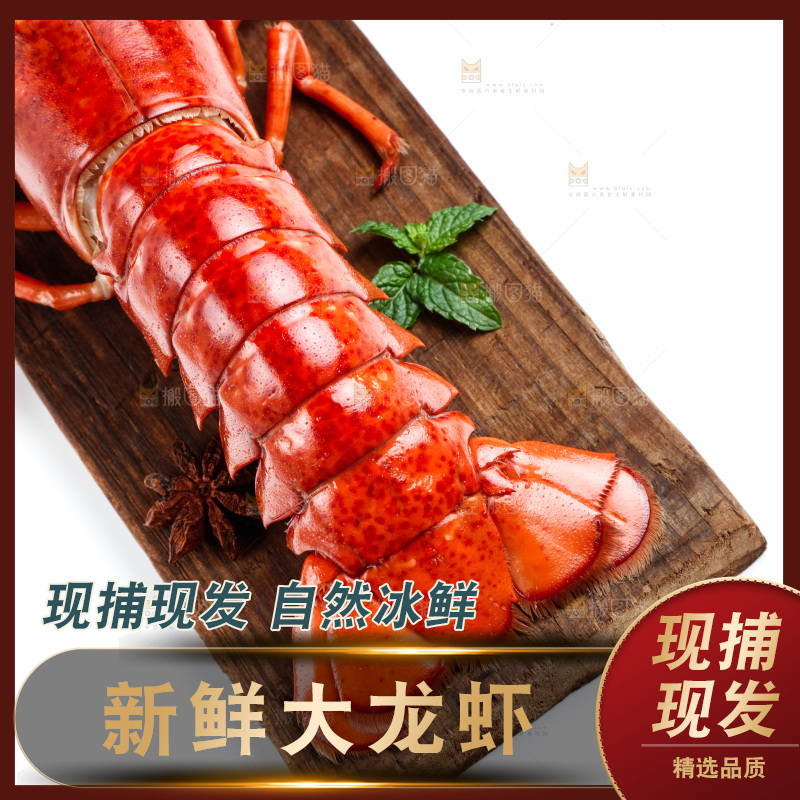 木底上的大龙虾