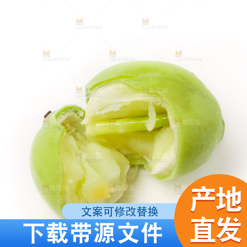 白底上的新鲜莲子