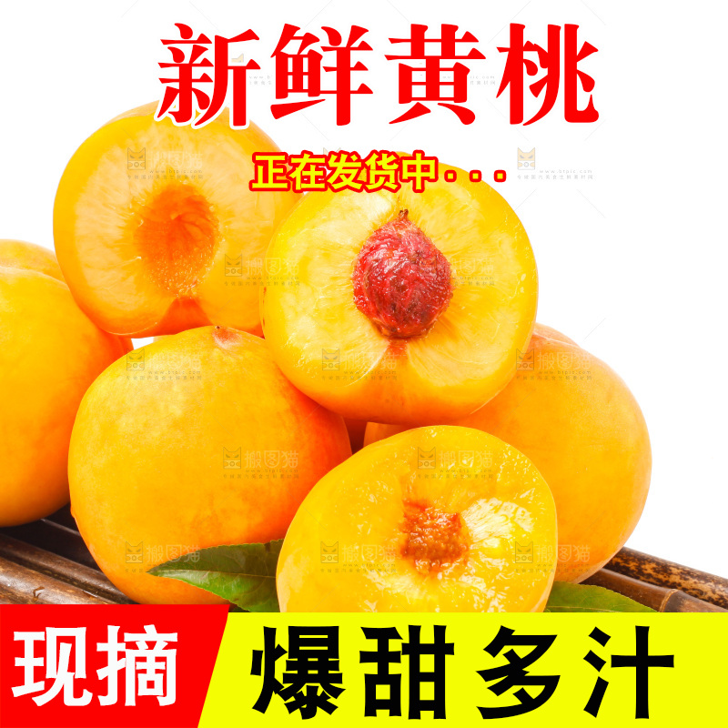 浅底上的山东黄桃