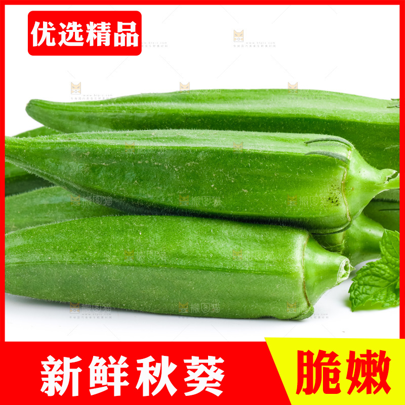 白底上的新鲜秋葵