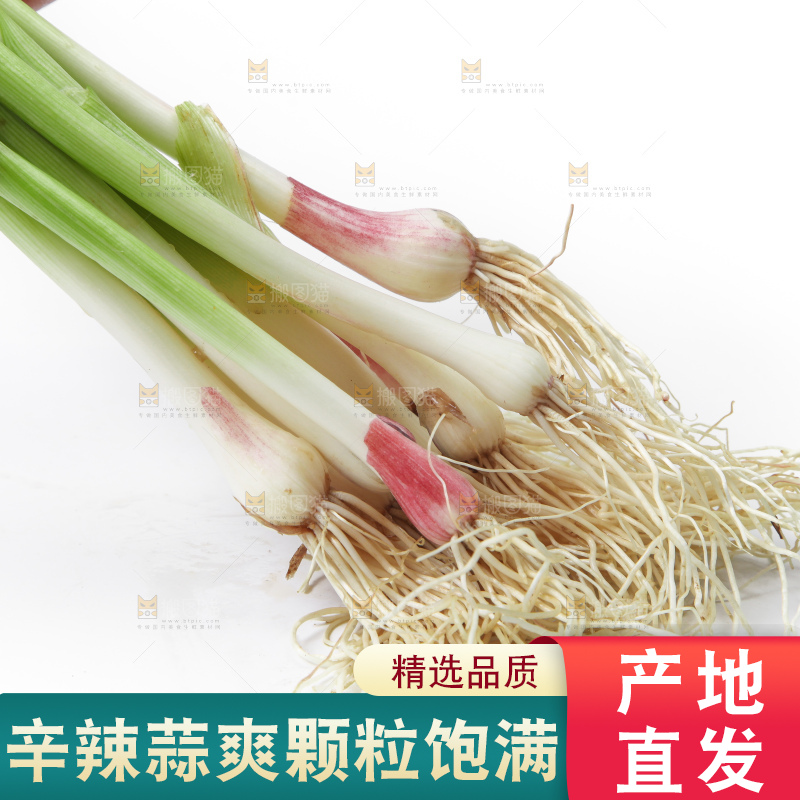 白底上放着蒜苗