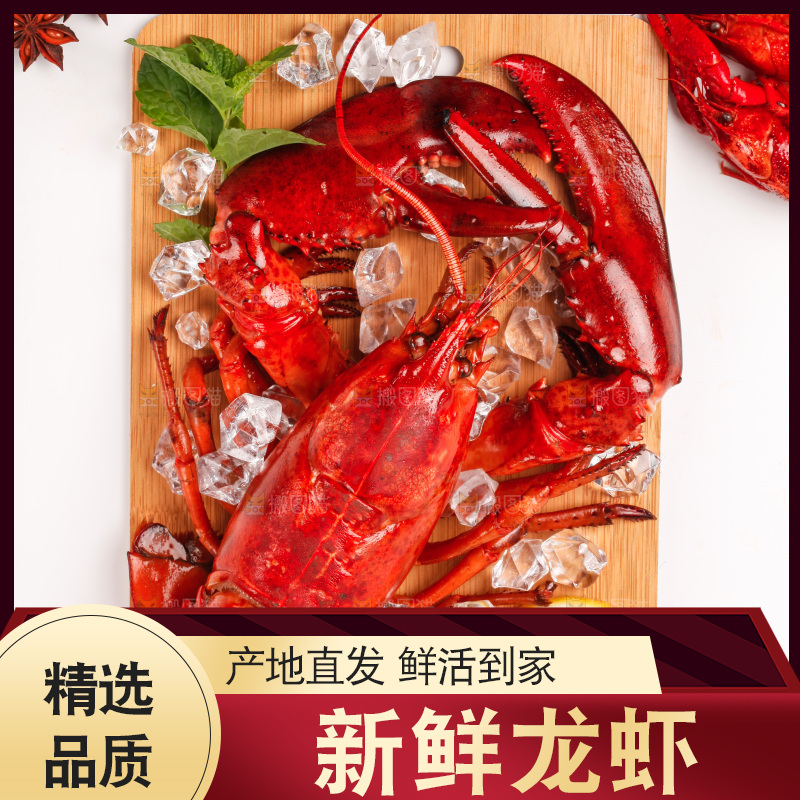 白底上的大龙虾
