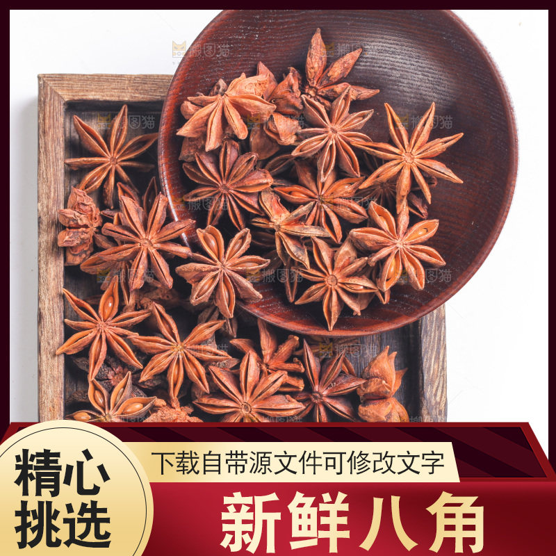广西八角放在白底上