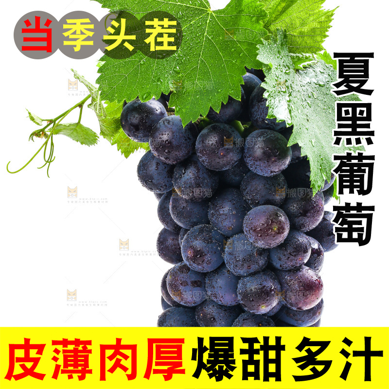 白底上的夏黑