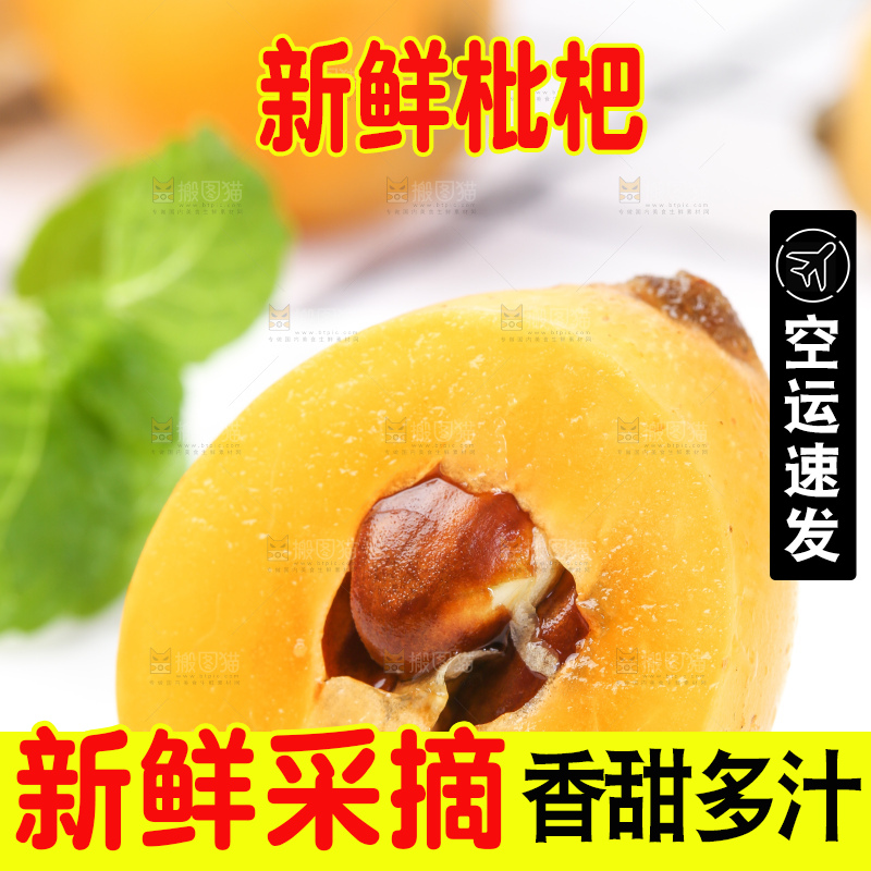 手里拿着新鲜枇杷