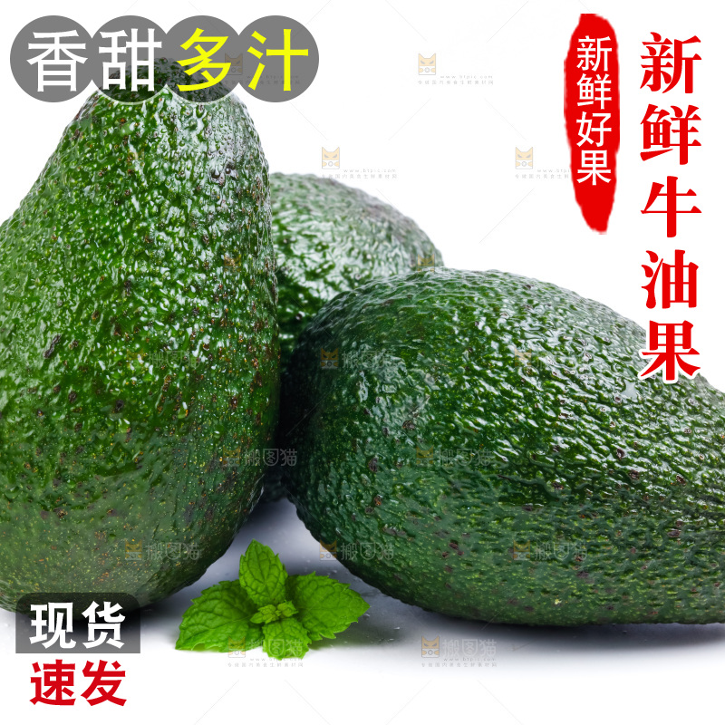 新鲜牛油果放在白底上