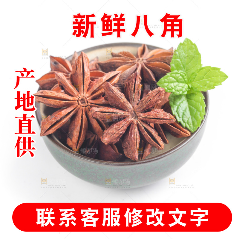 广西八角放在白底上