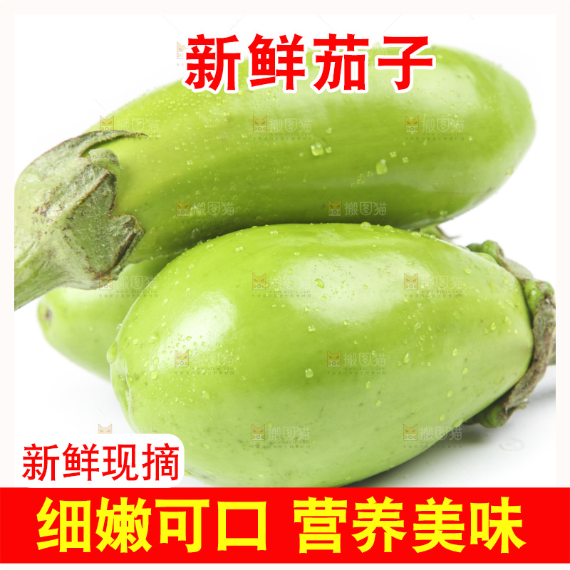 白底上放着青皮茄子