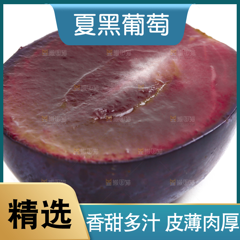 新鲜夏黑葡萄放在白底上