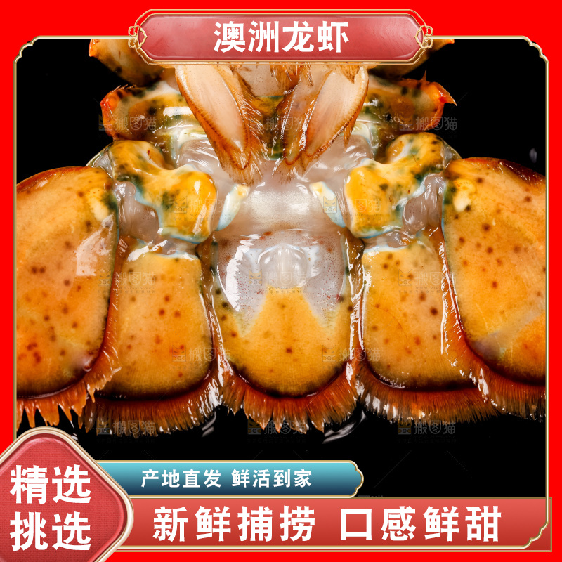 黑底上放着波士顿龙虾