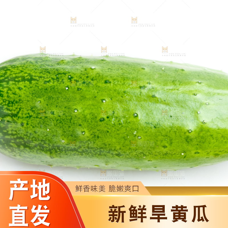 白底上放着新鲜旱黄瓜