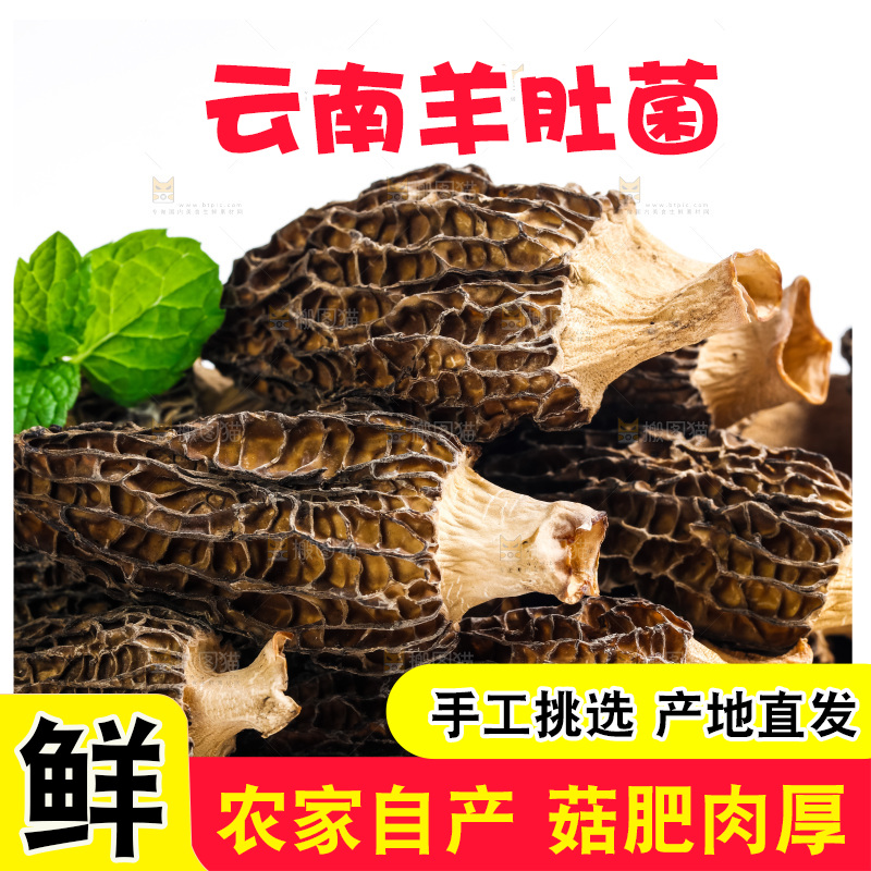 干羊肚菌放在木底上