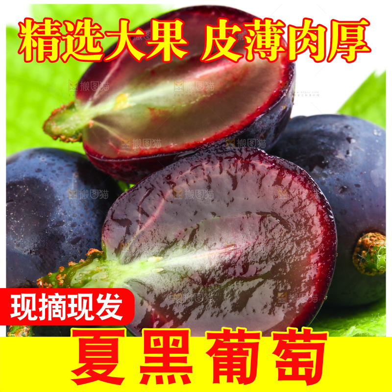 浅底上放着云南夏黑葡萄