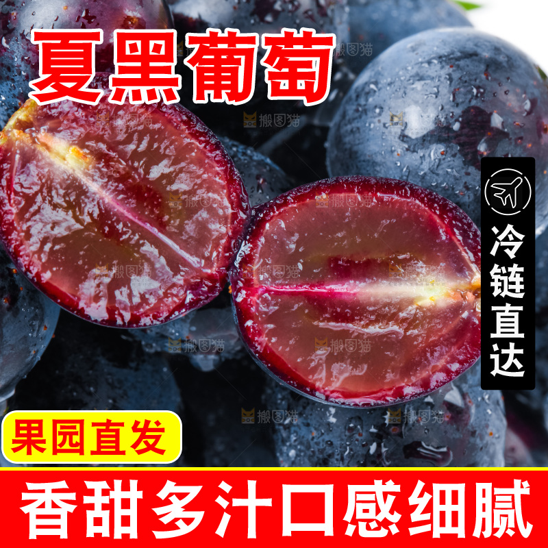 白底上的夏黑葡萄