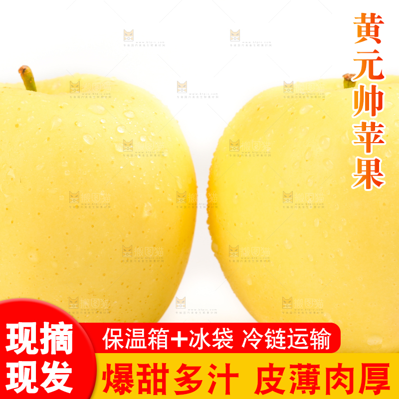 白底上摆放着黄金帅