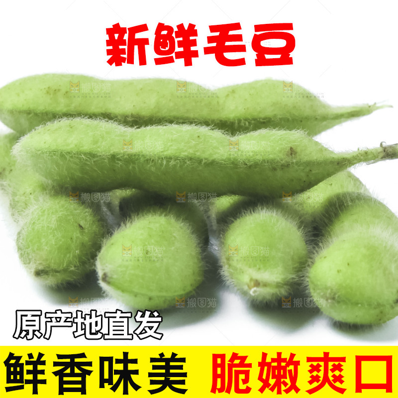 白底上的毛豆