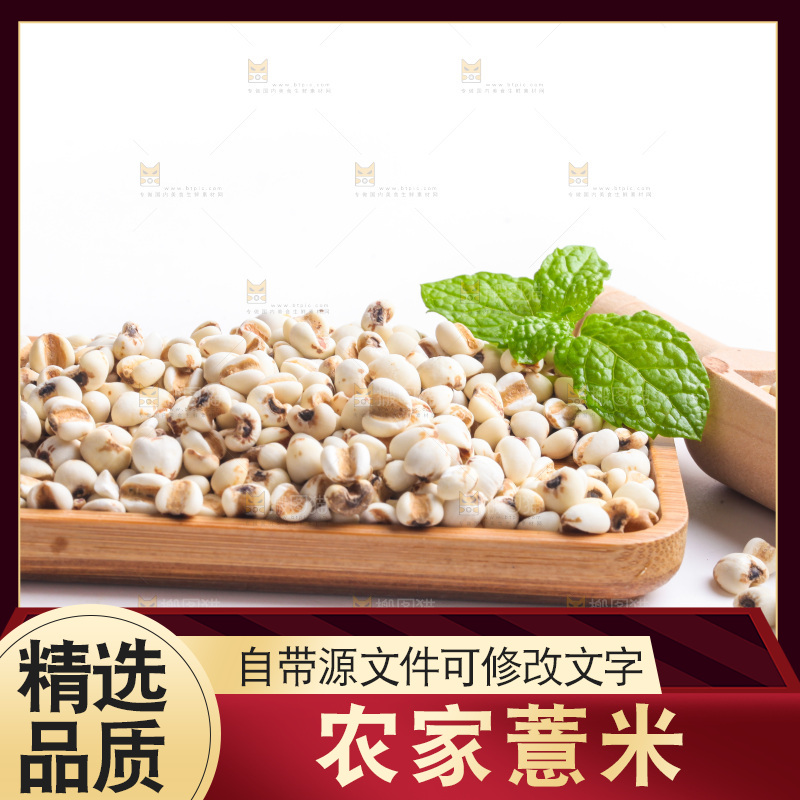 白底上的薏米