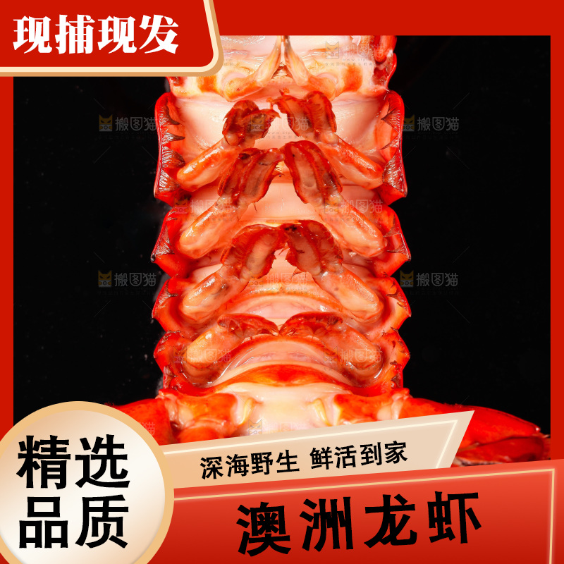 黑底上放着波士顿龙虾