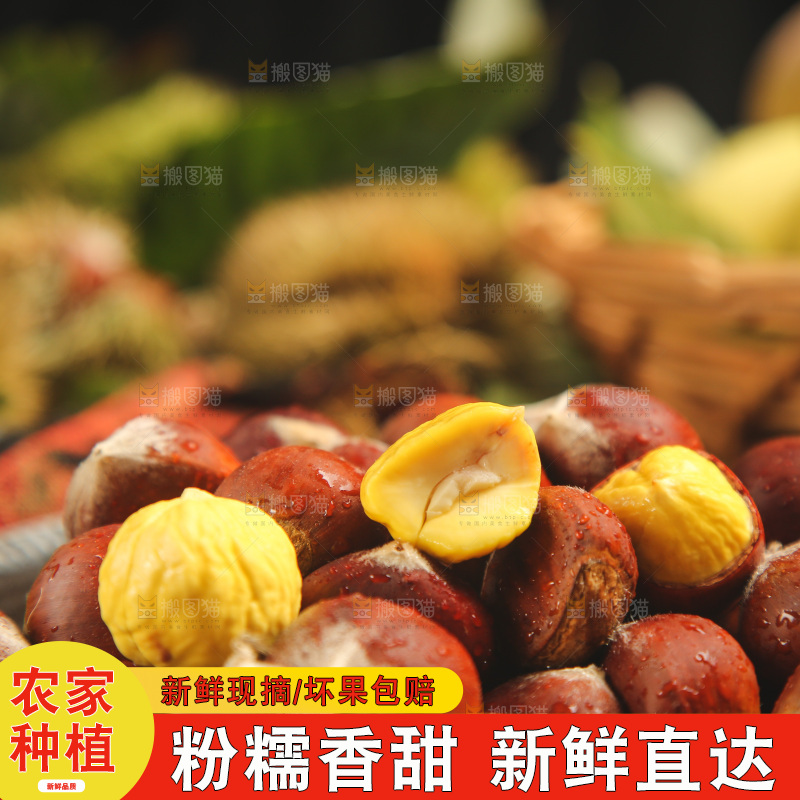 盘子里装着迁西板栗