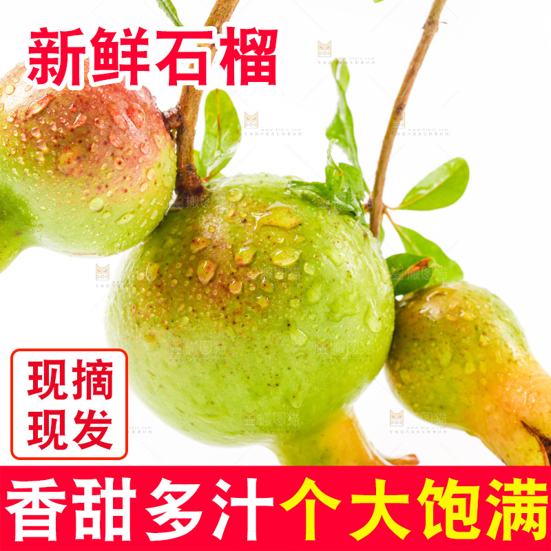 软籽石榴放在白底上