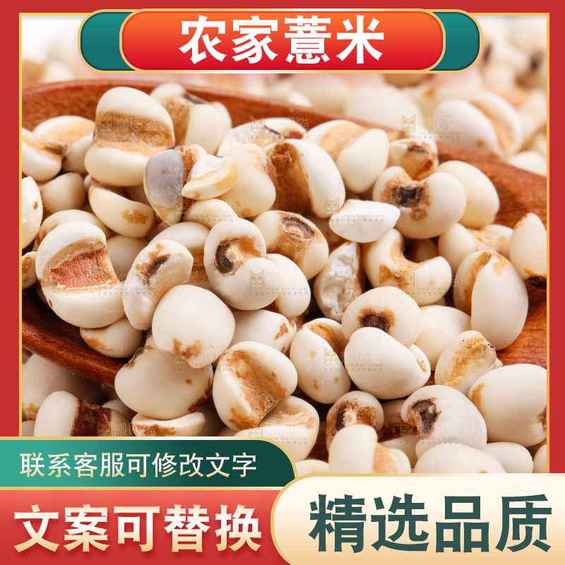 勺子里装着薏米