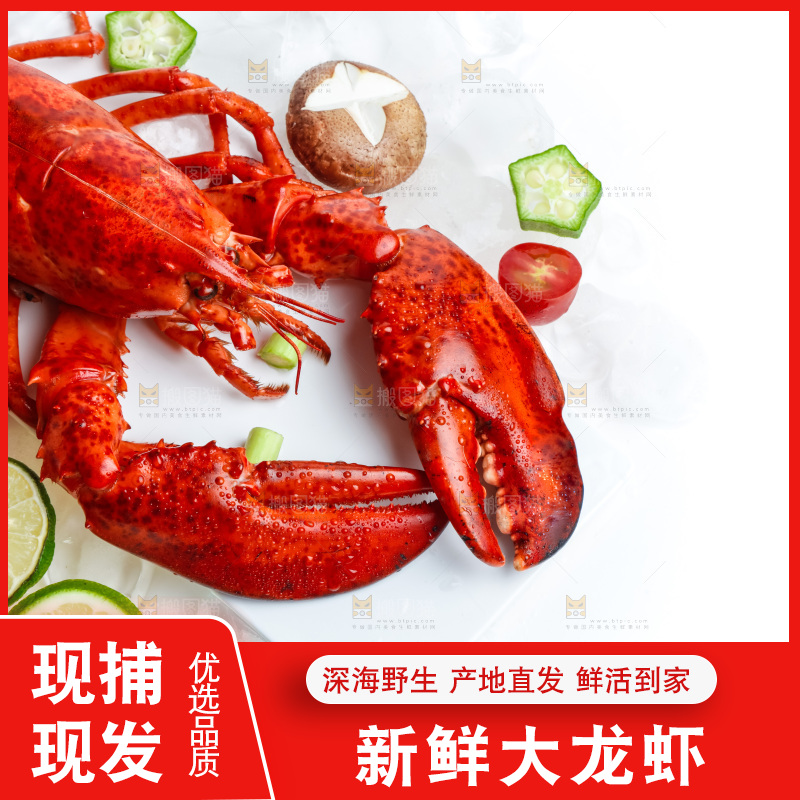 白底上放着一盘大龙虾
